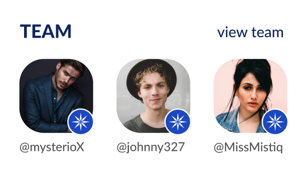 ice
																							team